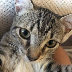 Meet your Posher, Alejandra